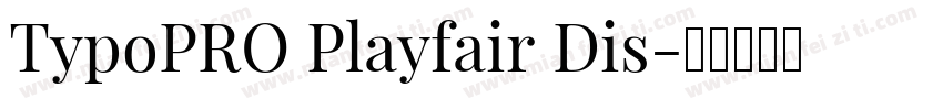 TypoPRO Playfair Dis字体转换